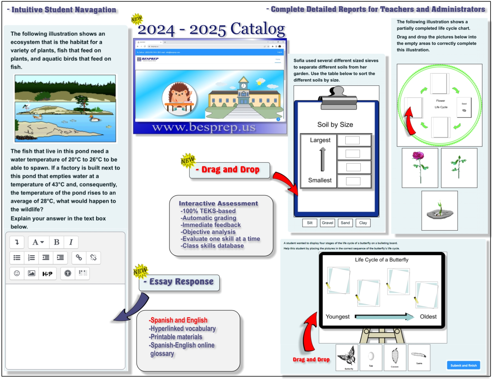 2024 Updates